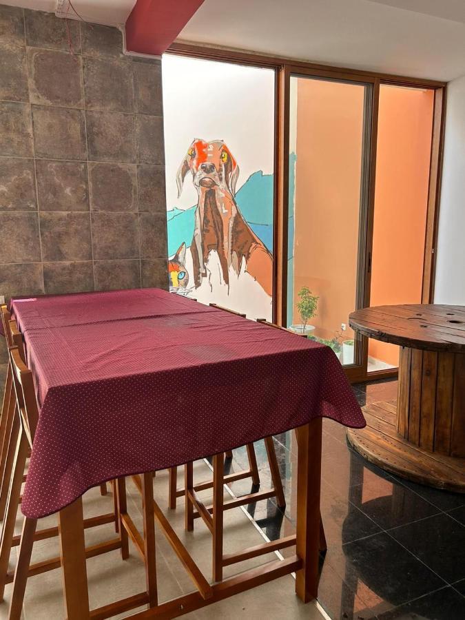 Villa Palmarina Praia Kültér fotó